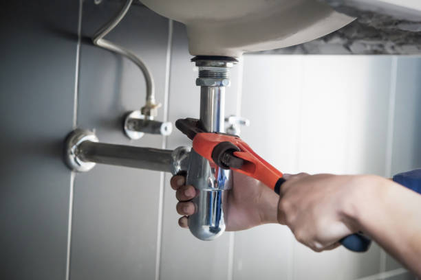 Best Clogged Drain Plumber  in Selinsgrove, PA
